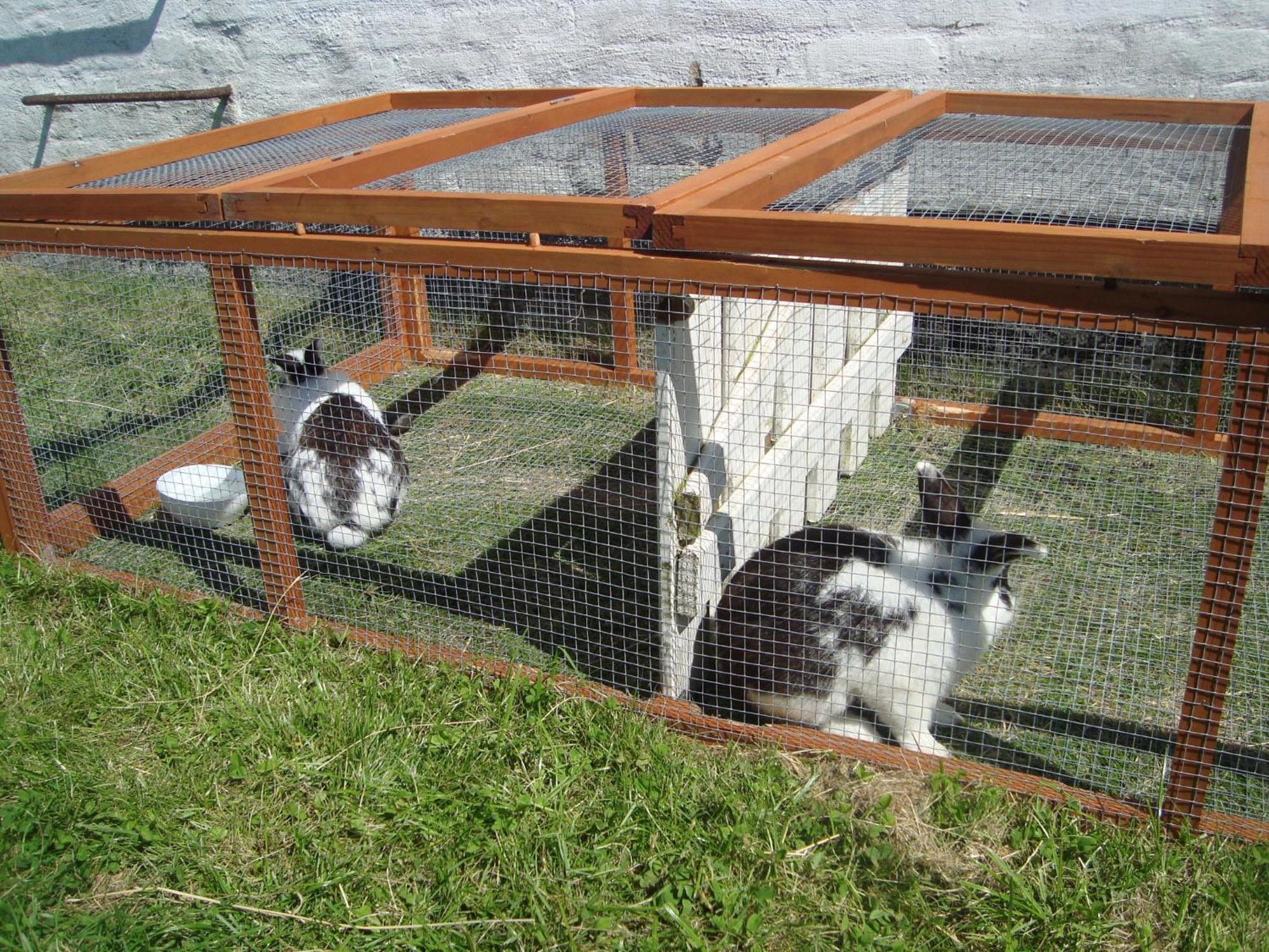 Thorupgaard Farm Holiday Stenum Luaran gambar